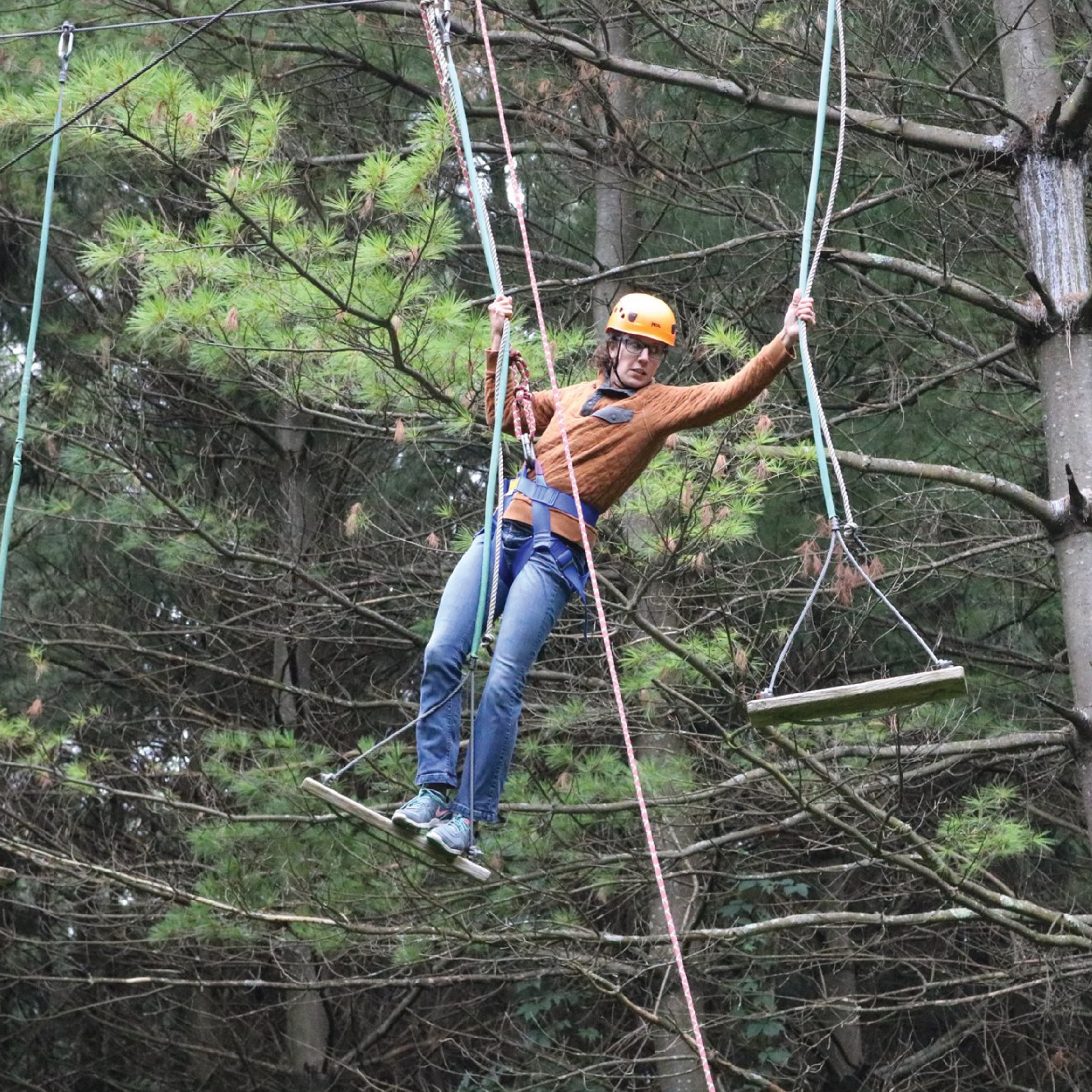 Photo of rope swings