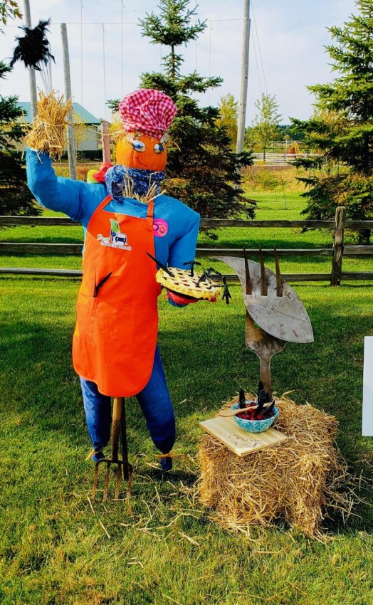 2020 - Scarecrow Meals on Wheels Submission