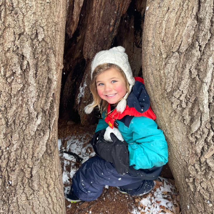 boy in tree trunk