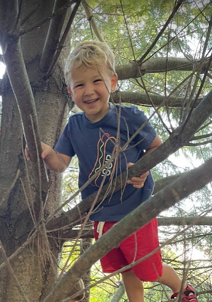 kid in tree